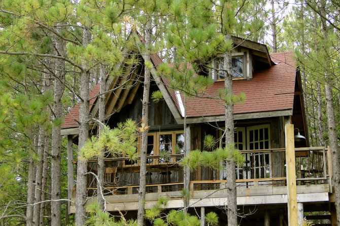 IDEAL WORLD: Everyone should have a #treehouse