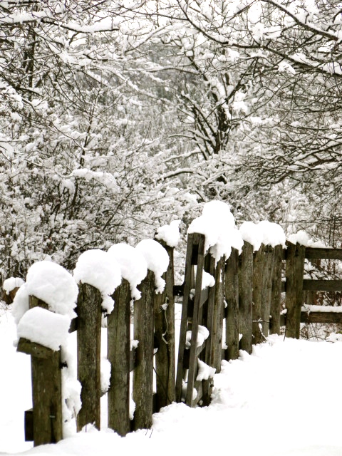 If winter had a face, I'd punch it | DESIGN THE LIFE YOU WANT TO LIVE | @LynneKnowlton