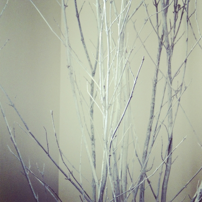 #DIY : 15 ways to decorate with twigs. Free tutorial here http://wp.me/p38cMm-1ni
