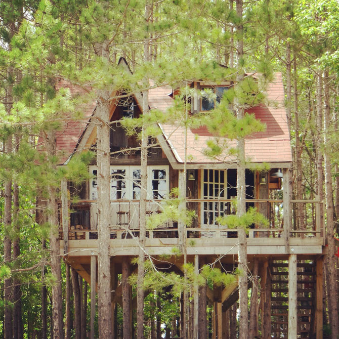 Treehouse LOVE... the #treehouse is made from a reclaimed, recycled barn! The squirrels think it is their castle. LOL. Read about it here : https://lynneknowlton.com/treehouse-squirrel-trouble-capital-t-trouble/