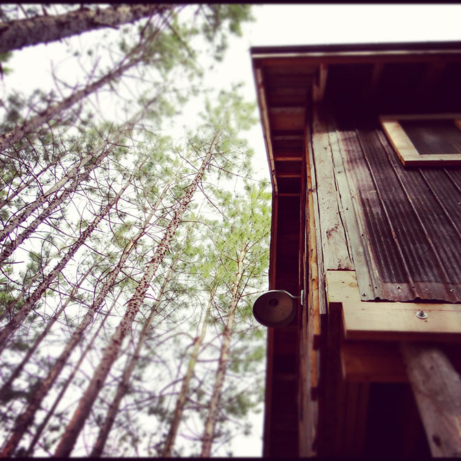 Treehouse LOVE... the #treehouse is made from a reclaimed, recycled barn! The squirrels think it is their castle. LOL. Read about it here : https://lynneknowlton.com/treehouse-squirrel-trouble-capital-t-trouble/