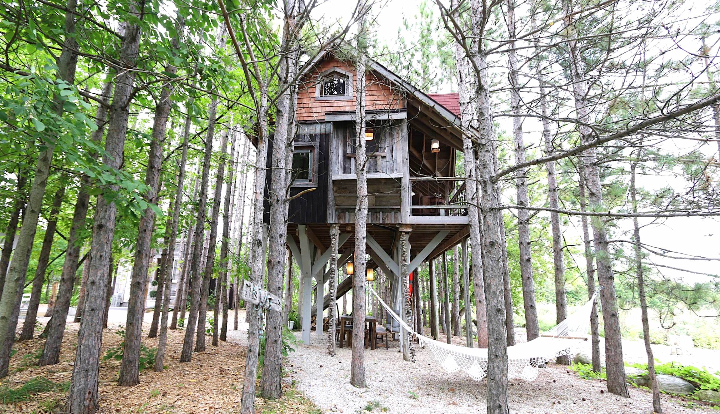 Treehouse Retreat Vacation Rental. Listed as one of the most amazing treehouses in the world.| DESIGN THE LIFE YOU WANT TO LIVE | LYNNE KNOWLTON