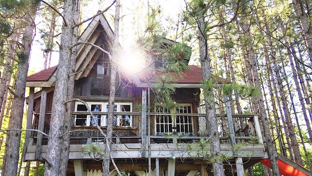 Treehugger HUGGED the Treehouse. With an Epic Hug. A mindblowing hug.