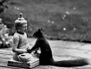 Dear Buddha, I want to have your peace,your wisdom, your serenity, your divine nature...your acorn hat. 