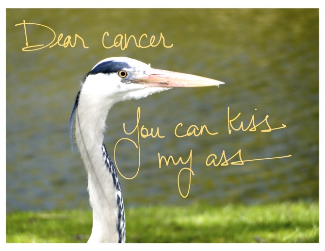 Dear #cancer, you can kiss my ass via @lynneknowlton