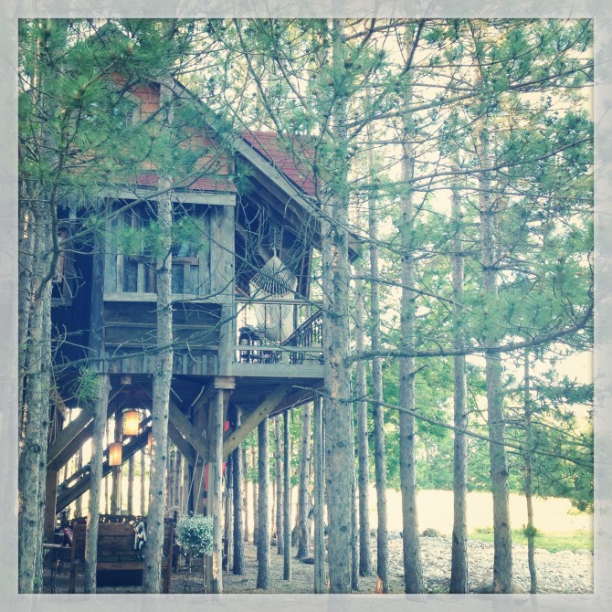 Come visit the treehouse on www.lynneknowlton.com