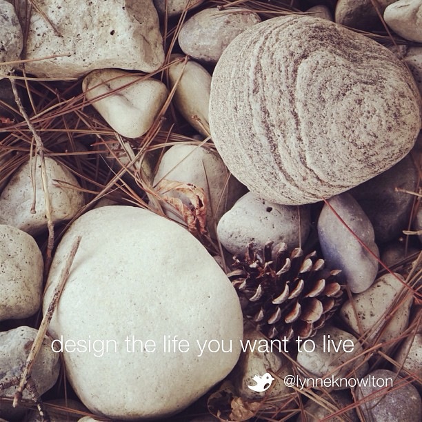 Want to have some fun? Follow @lynneknowlton on twitter. Design The Life You Want to Live 