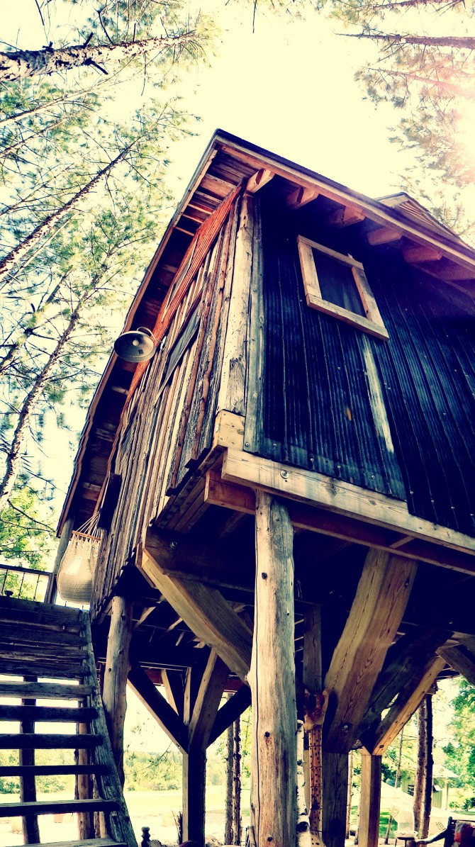 Visit the #treehouse on Design the Life you Want to Live #BLOG www.lynneknowlton.com It's fun. I promise.