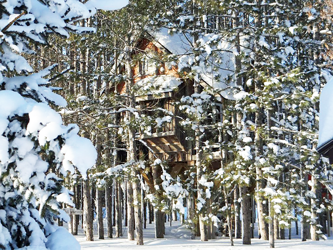Treehouse SNOW day - Design The Life You Want To Live