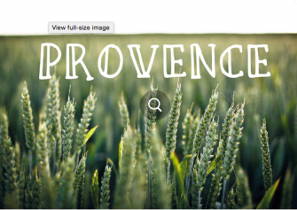 Provence Font from Creative Market https://creativemarket.com/DrawBabyDraw/34716-Vintage-Font-provence?u=LynneKnowlton