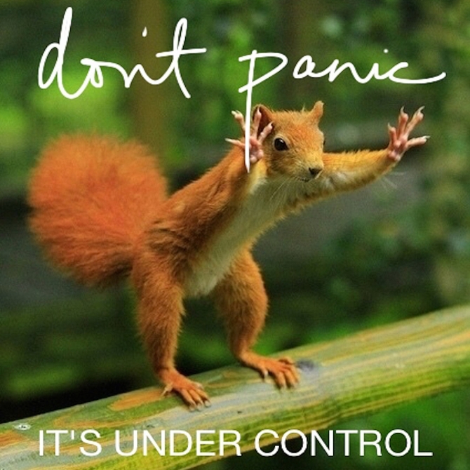 Don't Panic.. it's all under control. hahaha. #Treehouse squirrel control. 