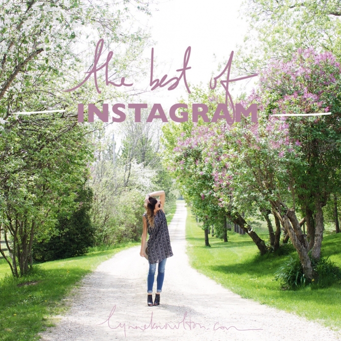 The best of @instagram & who to follow! lynneknowlton.com