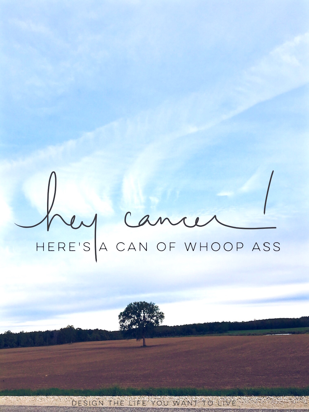 Attacking cancer | Dear cancer, here's a can of whoop ass. Open it. | DESIGN THE LIFE YOU WANT TO LIVE | Lynne Knowlton
