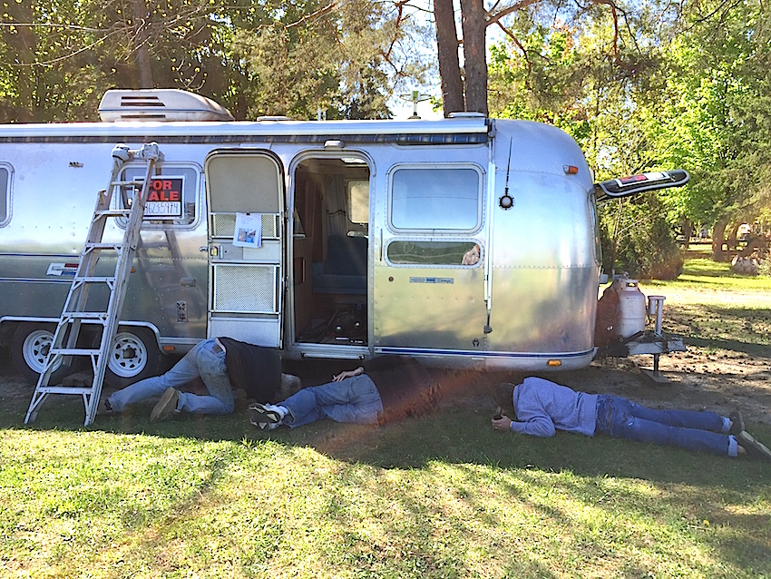 Airstream + Treehouse + Cancer = It's the wild wild west of nuttiness